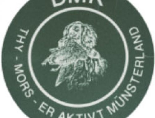 DMK Thy-Mors: Afslutning på dressur d. 2/3 2025