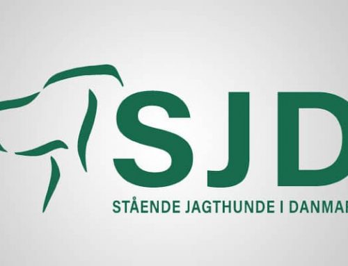 Danmarksmesterskabet for stående kontinentale hunde 2024