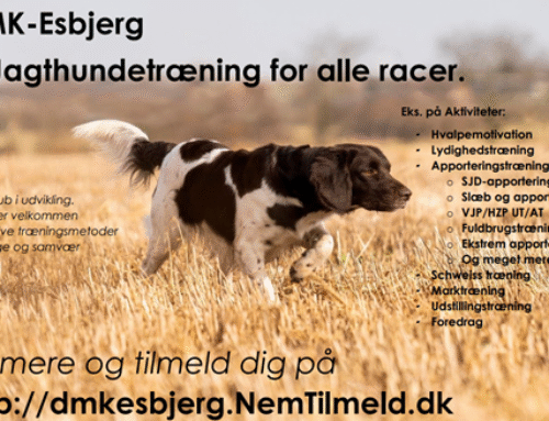 DMK-Esbjerg: Aktiviteter 2026
