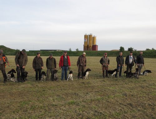 DMK-Holstebro: Apporteringsafslutning den 16.06.2022